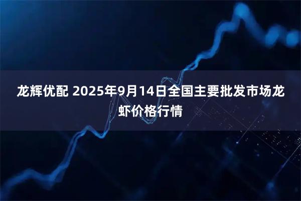 龙辉优配 2025年9月14日全国主要批发市场龙虾价格行情