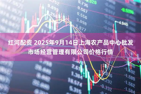 红河配资 2025年9月14日上海农产品中心批发市场经营管理有限公司价格行情