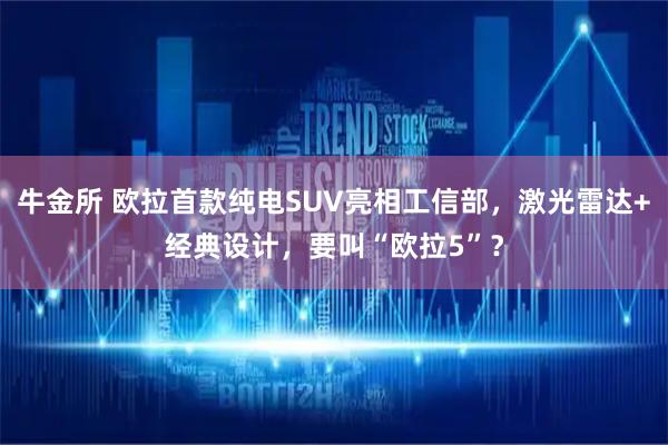 牛金所 欧拉首款纯电SUV亮相工信部，激光雷达+经典设计，要叫“欧拉5”？