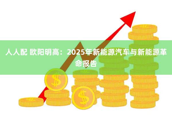 人人配 欧阳明高：2025年新能源汽车与新能源革命报告