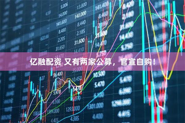 亿融配资 又有两家公募，官宣自购！