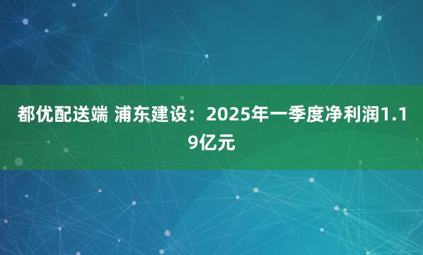 都优配送端 浦东建设：2025年一季度净利润1.19亿元