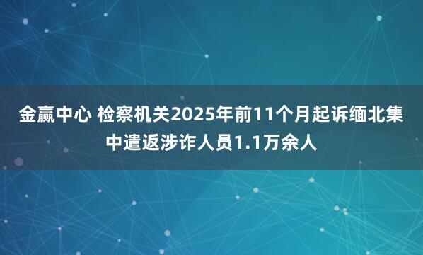 金赢中心 检察机关2025年前11个月起诉缅北集中遣返涉诈人员1.1万余人
