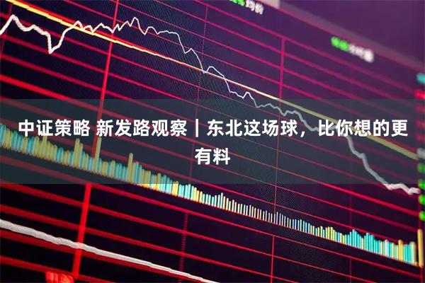 中证策略 新发路观察｜东北这场球，比你想的更有料